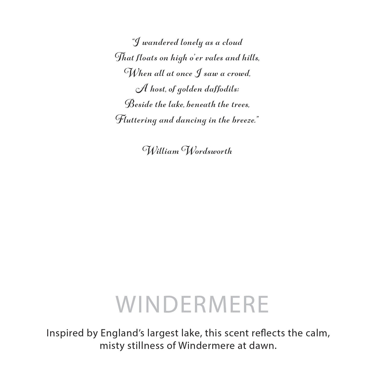 Agnes + Cat Botanical Soy Wax Candle - Windermere