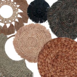 Set of Six Natural Wall Art